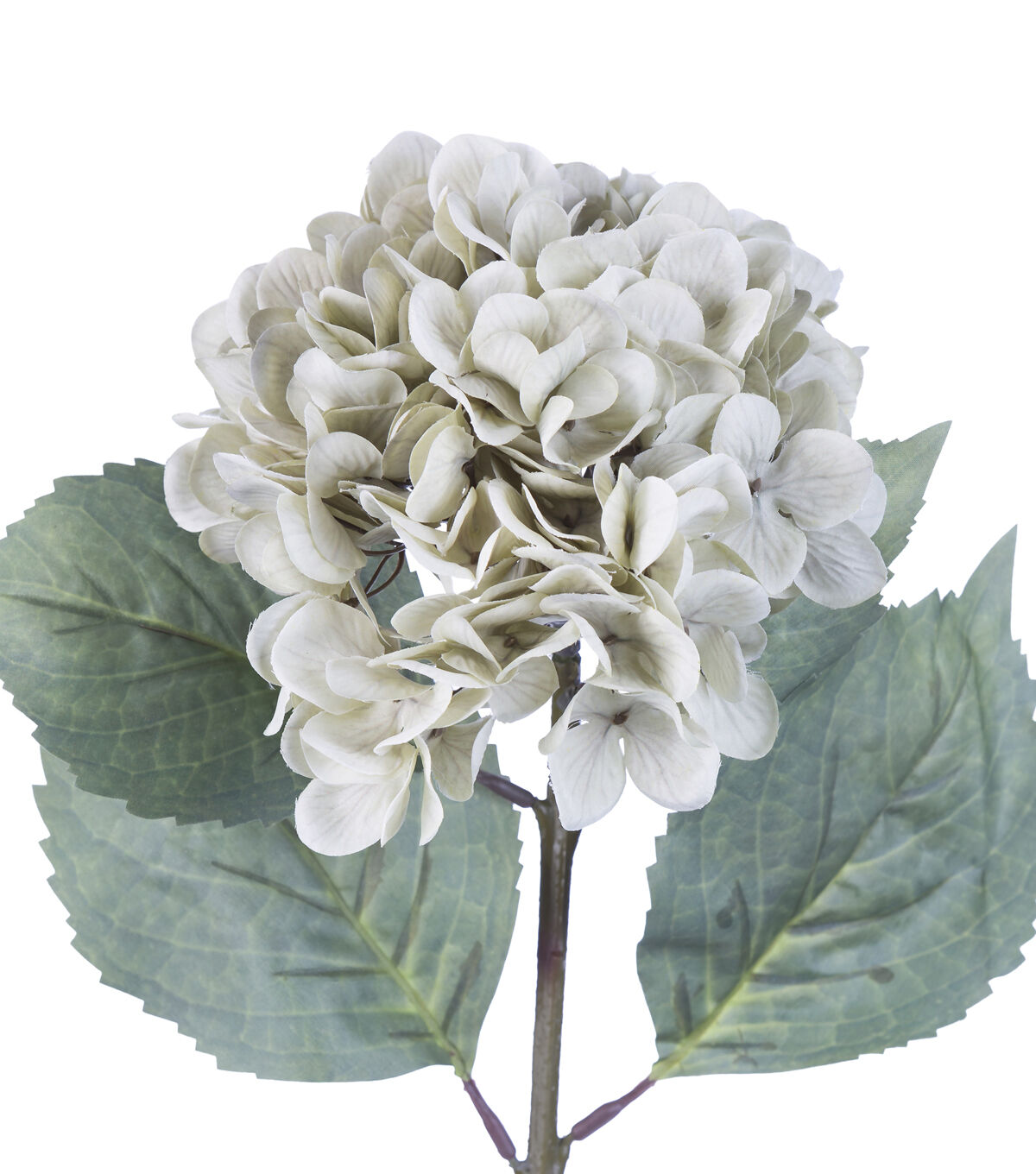 28.5 Green Hydrangea Stem by Bloom Room
