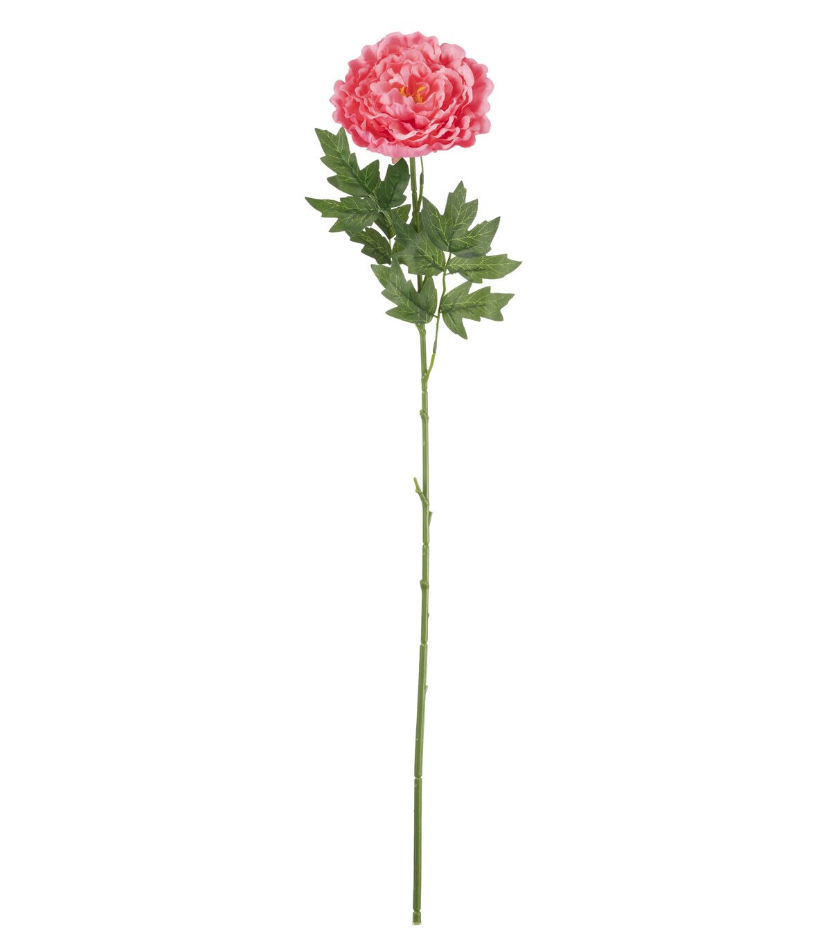 30 Light Pink Peony Stem by Bloom Room