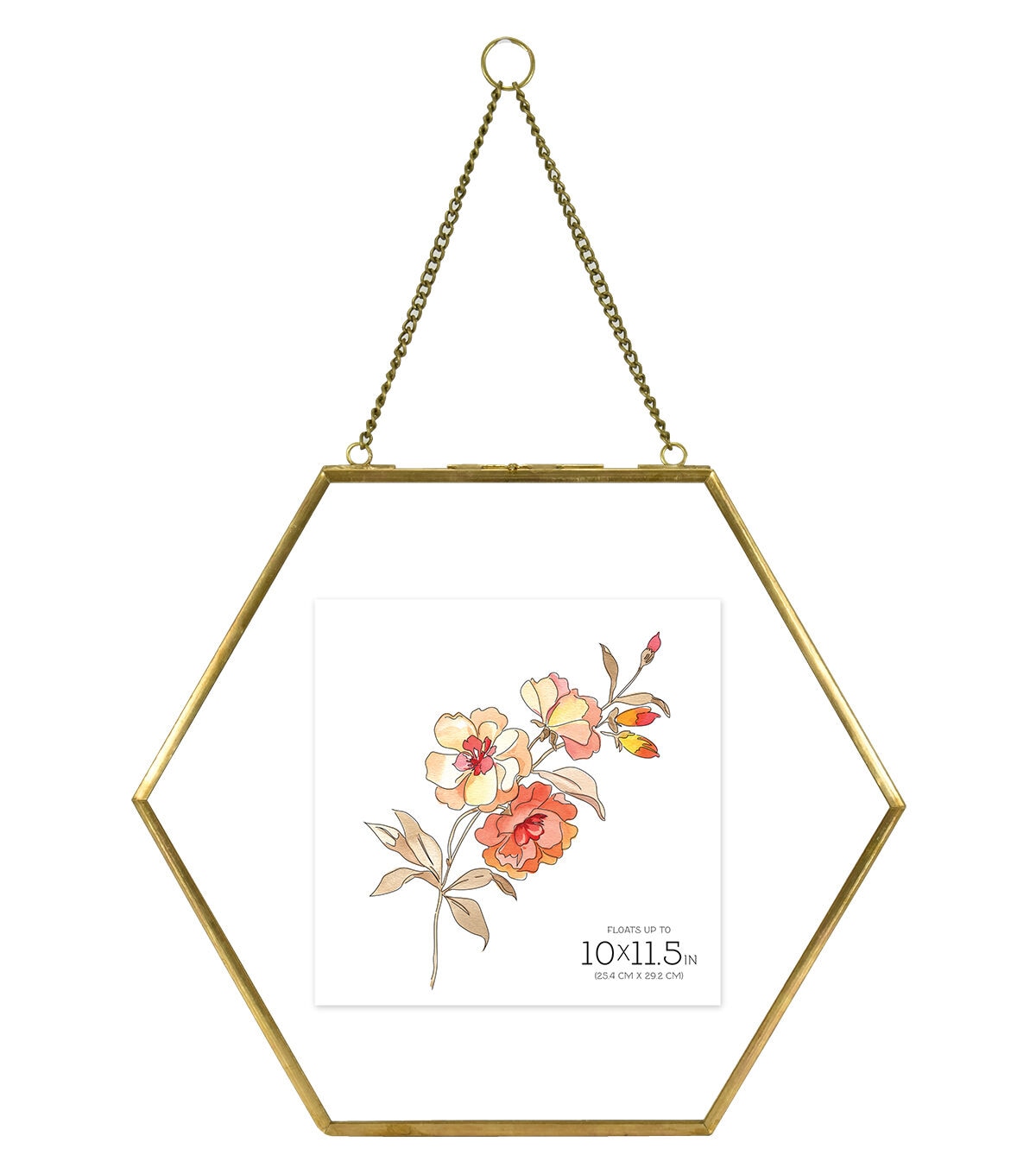 MCS 10x11.5 Brass Pressed Hexagonal Float Picture Frame