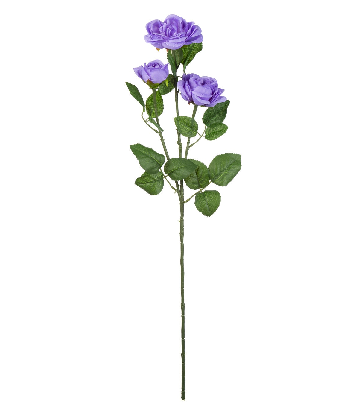 31 Purple Cabbage Rose Stem by Bloom Room