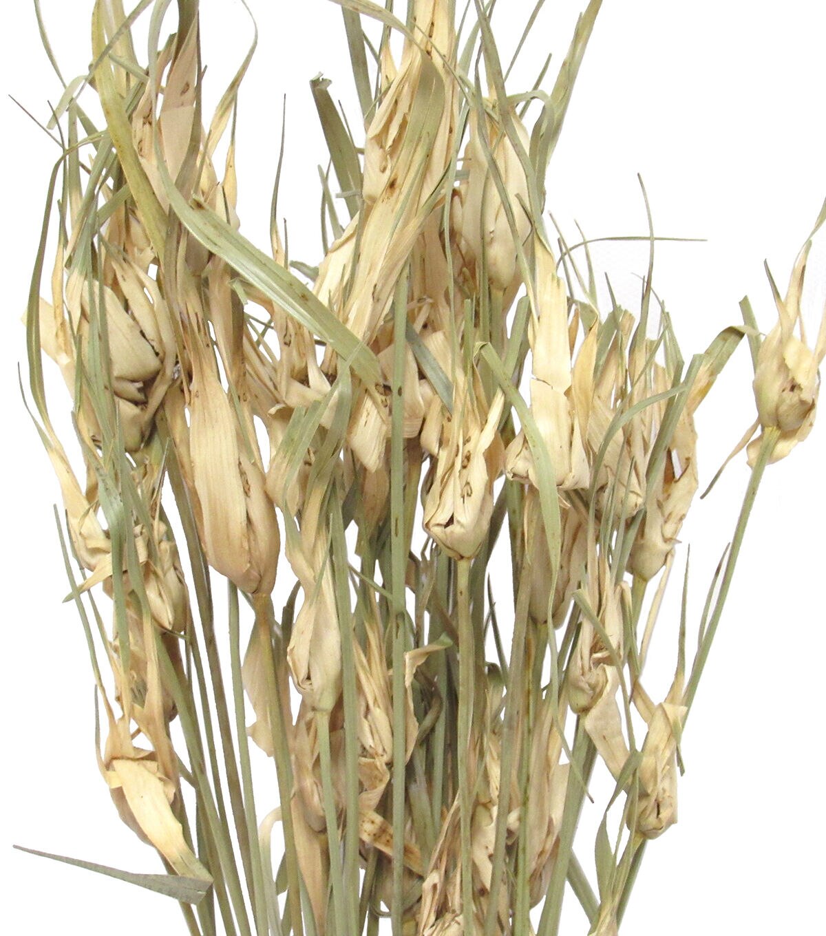 28 Natural Dried Star Grass Bouquet by Bloom Room