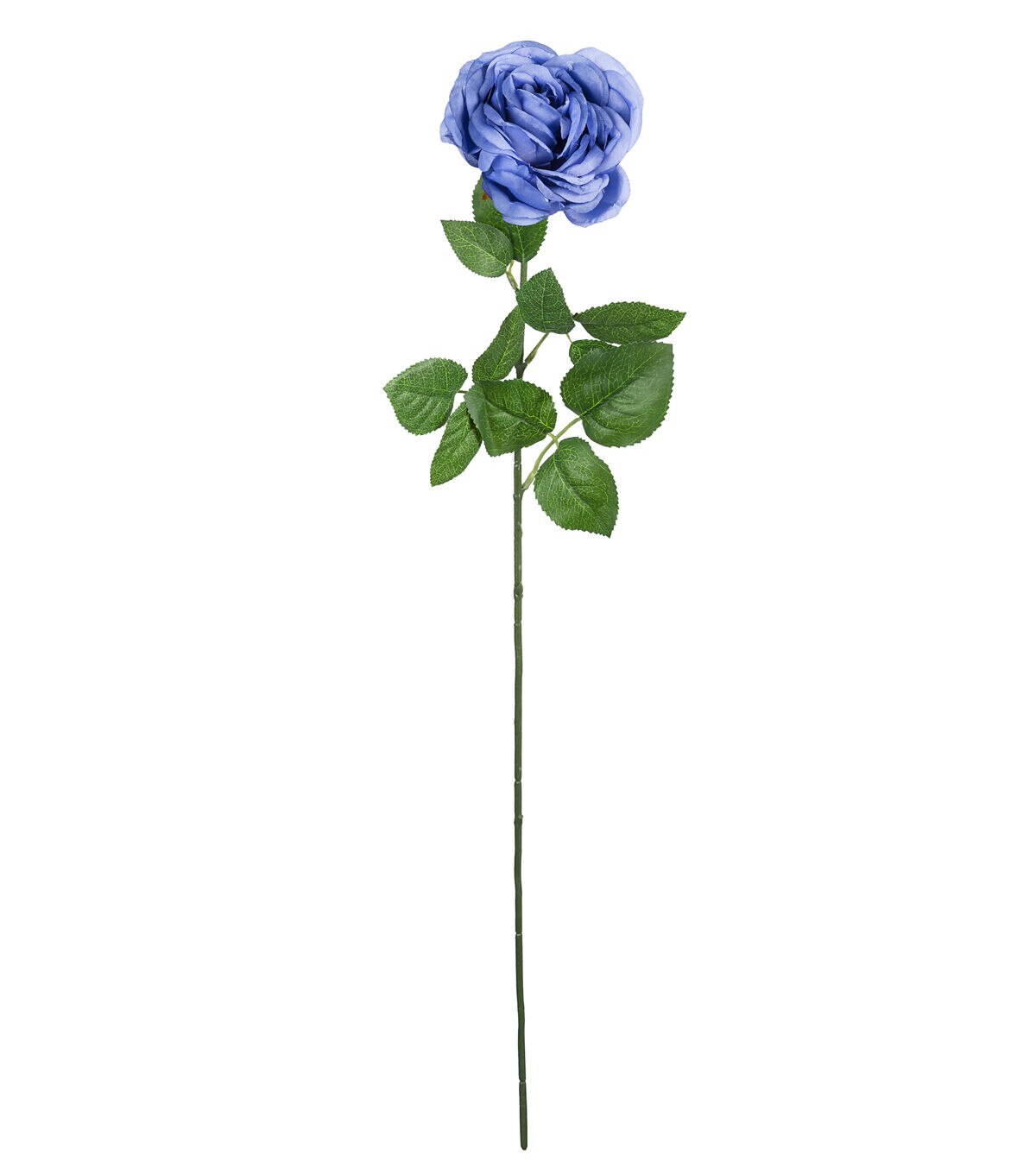 29 Blue Cabbage Rose Stem by Bloom Room