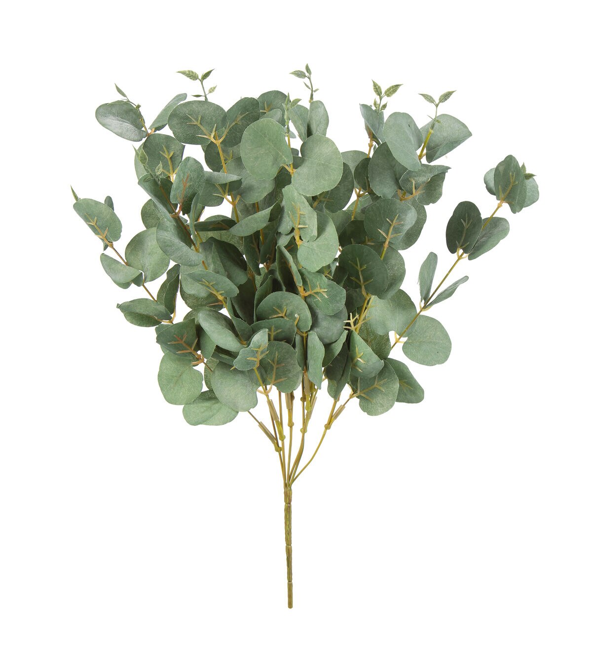 22 Eucalyptus Bush by Bloom Room