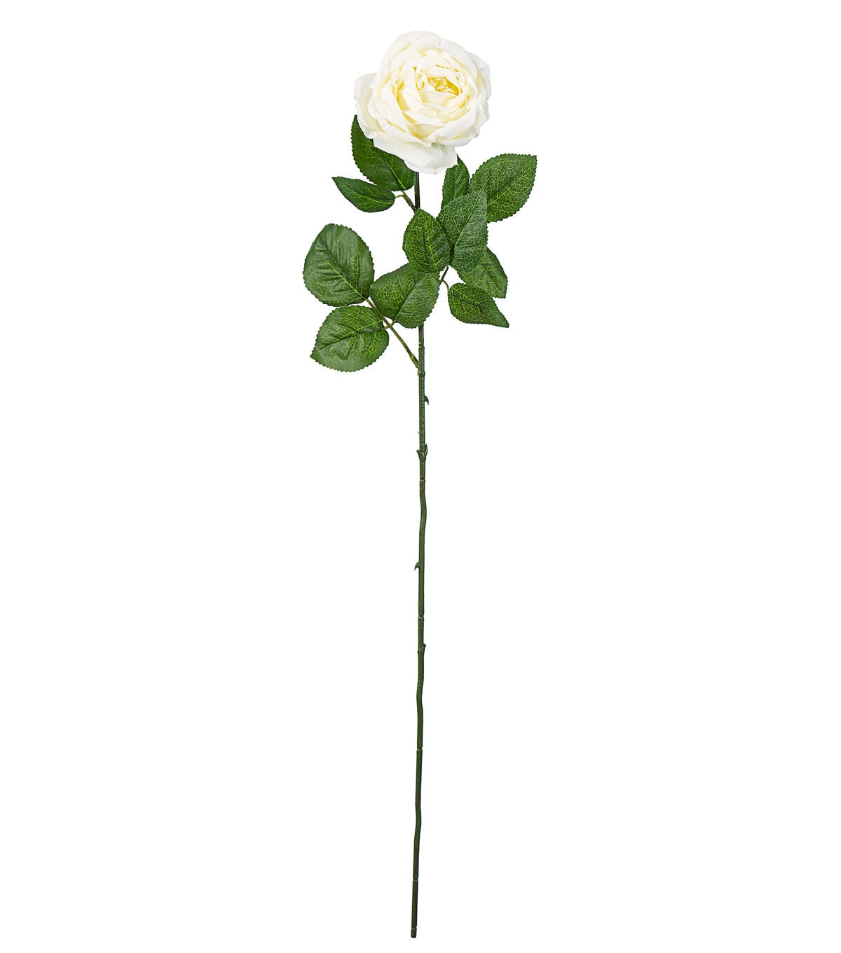 29 Cream Cabbage Rose Stem by Bloom Room