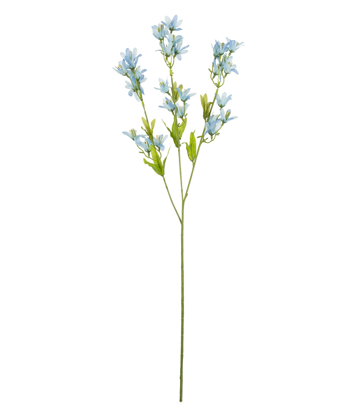 30 Denim Blue Tweedia Stem by Bloom Room