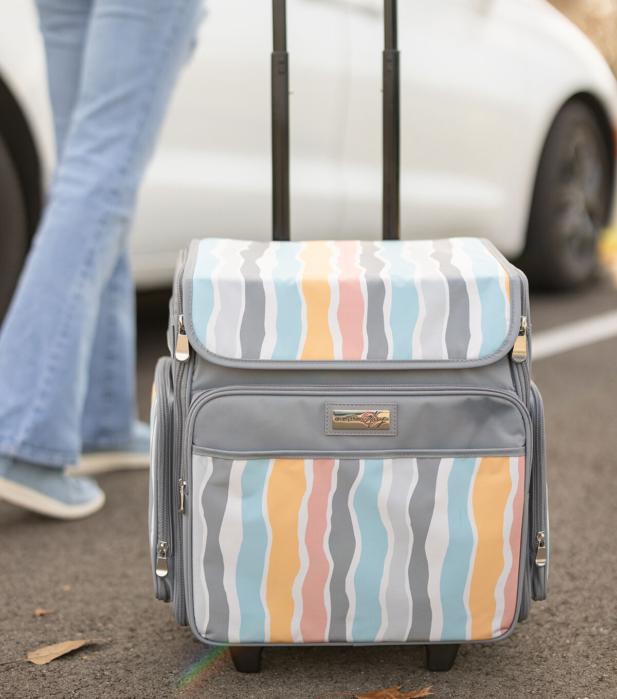 Everything Mary 19 Gray & Pastel Striped Collapsible Rolling Craft Bag