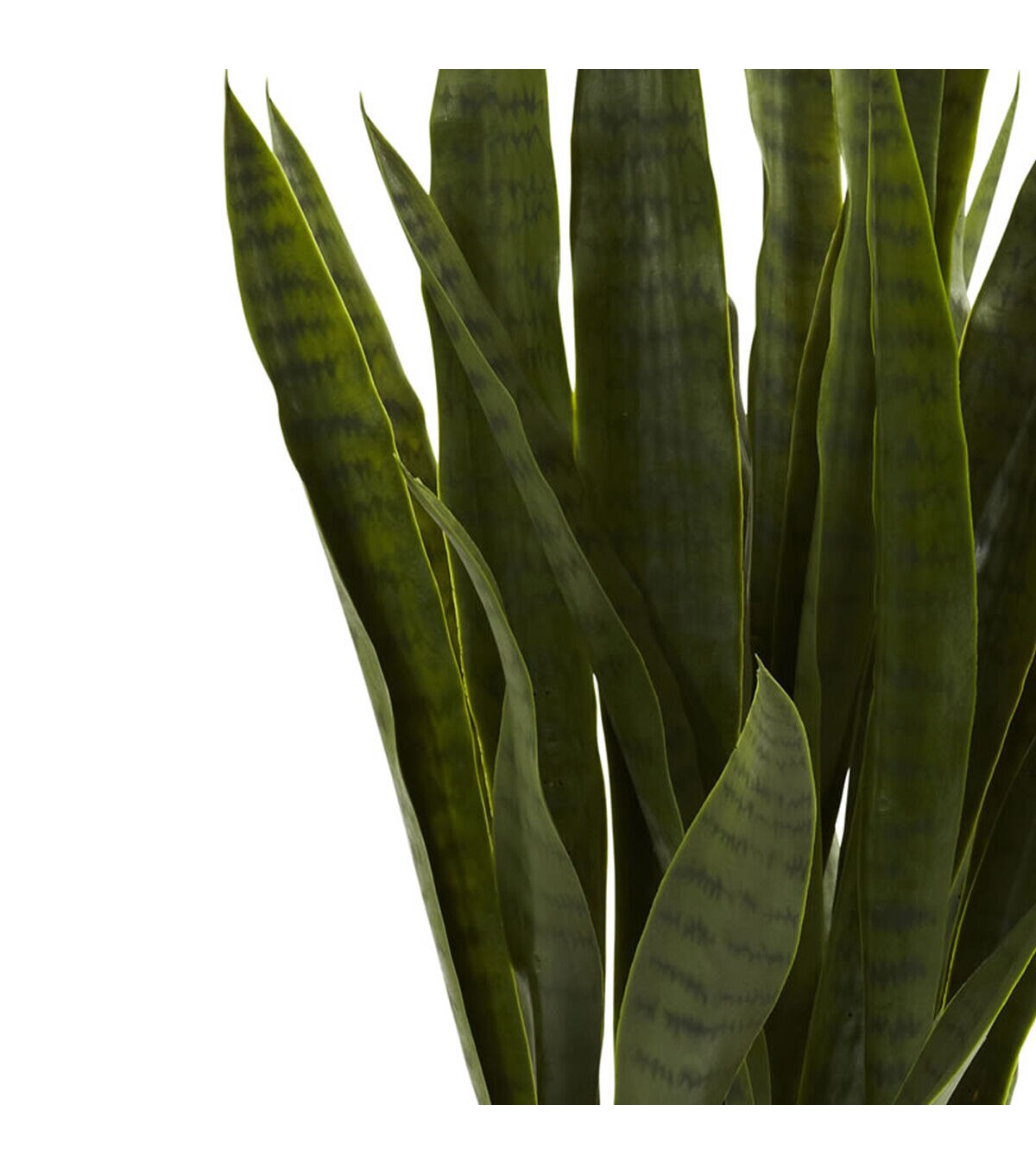 Nearly Natural Sansevieria with Black Planter