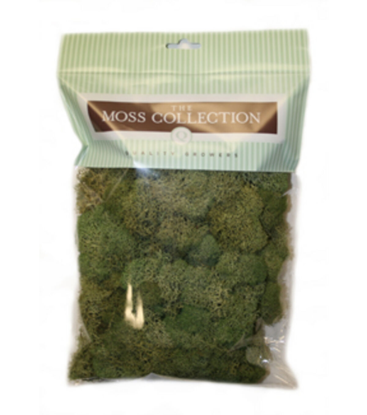 Quality Growers 108.5 Preserved Reindeer Moss
