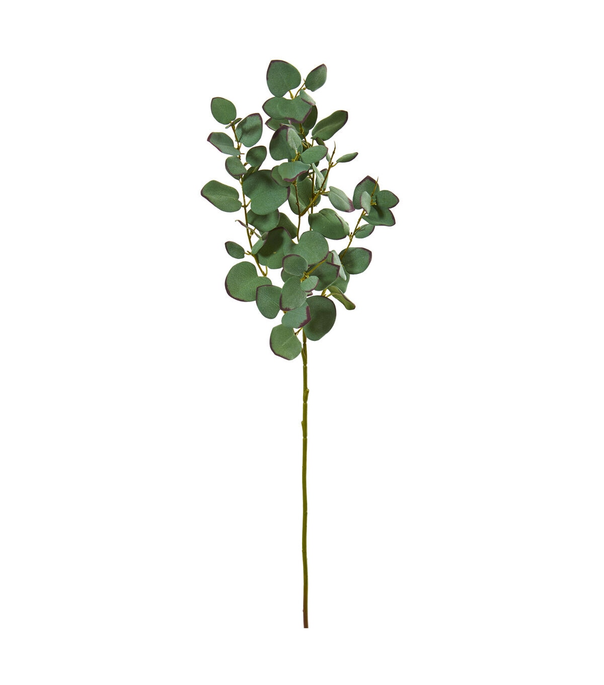 Nearly Natural 34 Eucalyptus Artificial Branch 6ct