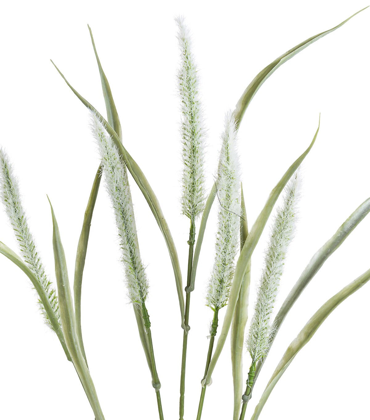 29 Green Cattail Stem by Bloom Room