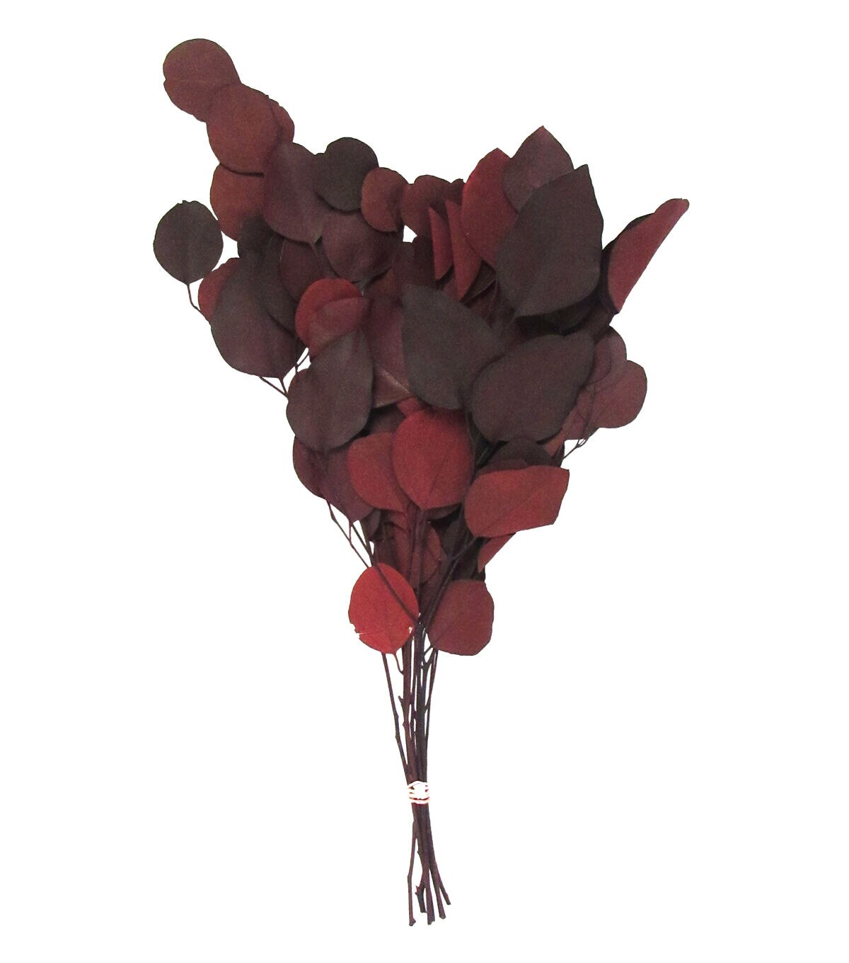 18 Burgundy Dried Eucalyptus Populus Bouquet by Bloom Room