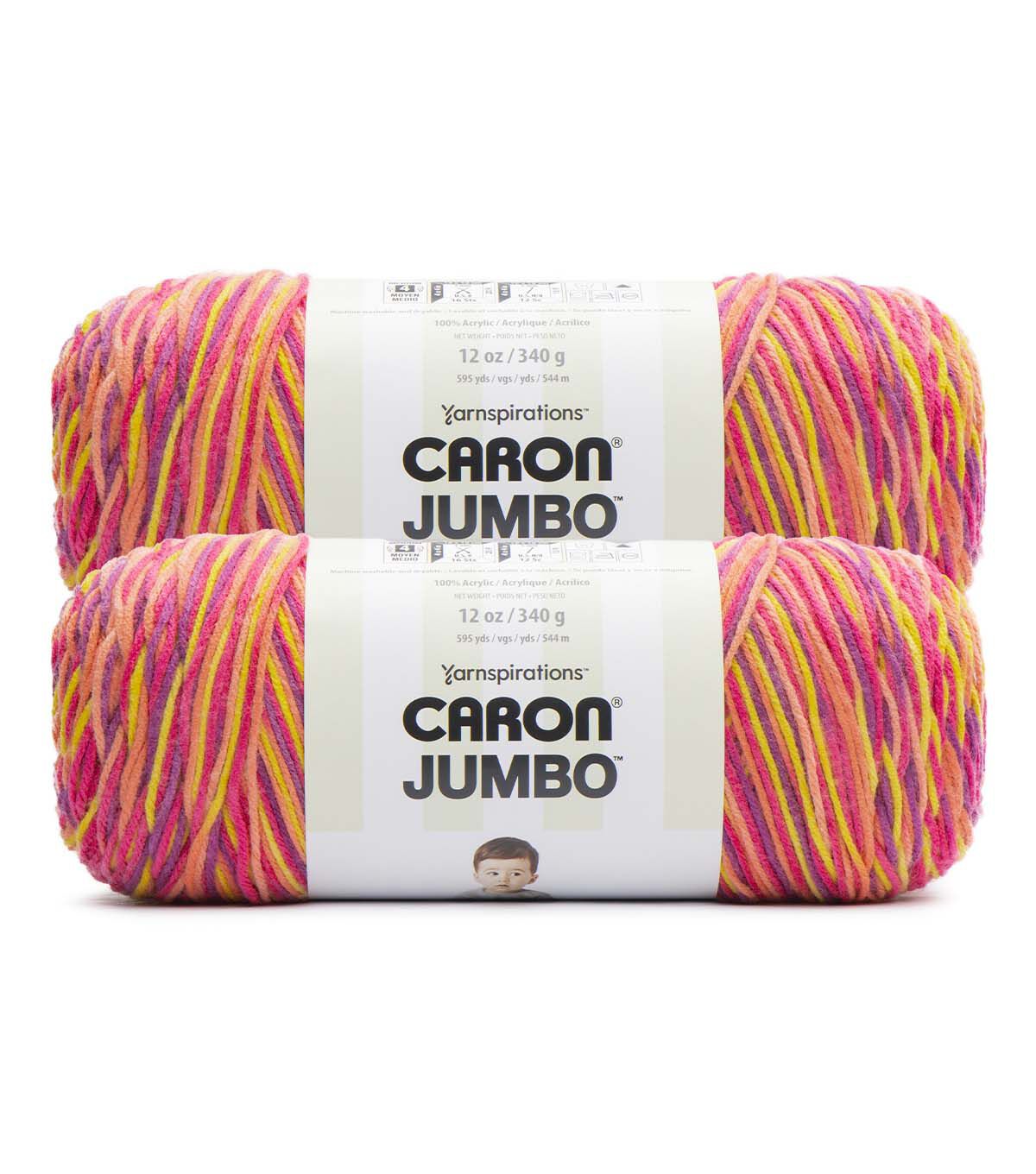 Caron Jumbo 595yds Worsted Polyester Yarn 2 Bundle