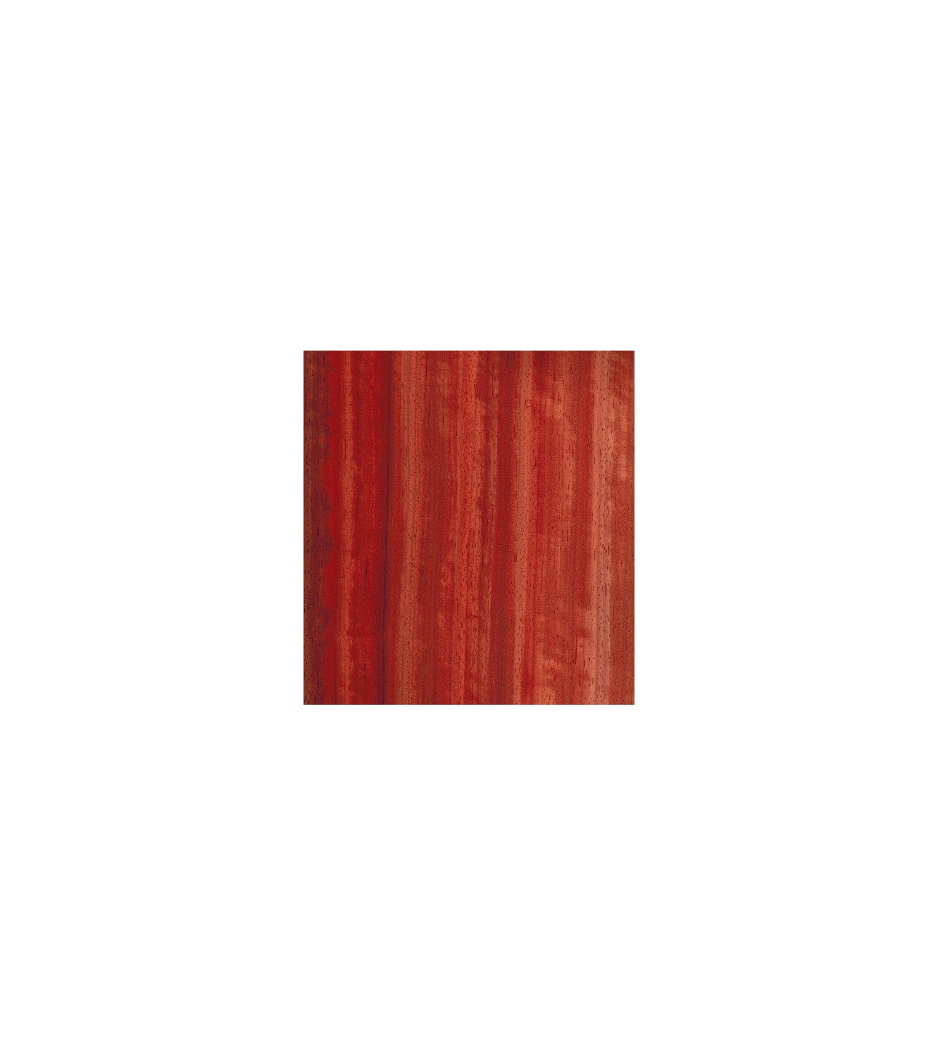 Coral Rod Pack 4 x 1000 mm (2 Pcs.)