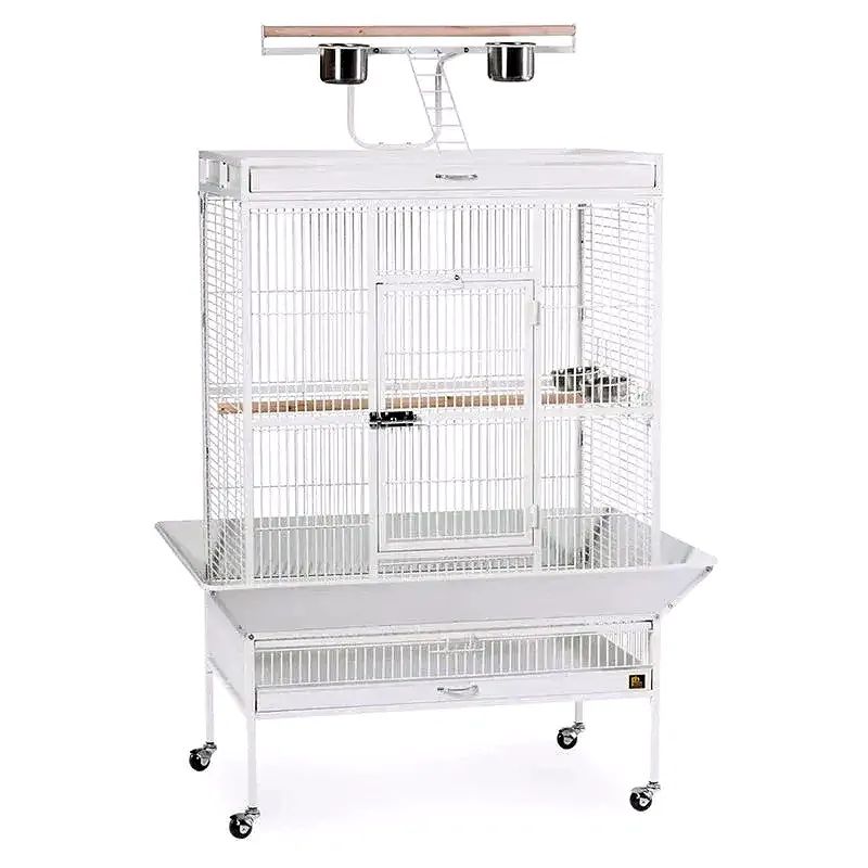 Wrought Iron Select Bird Cage 3154C, Chalk White Finish · 36