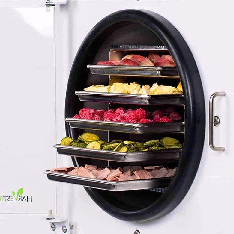 Right Medium Freeze Dryer with Mylar Starter Kit – Stainless Steel, 6L Capacity, -46°F