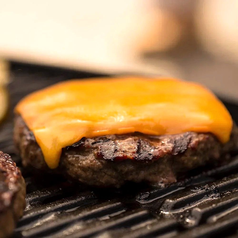 Blue 51080001 Q1200 Portable LP Gas Grill – Compact & High-Performance